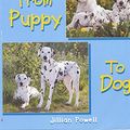 Cover Art for 9780750238632, From Puppy to Dog (How Do They Grow) by Jillian Powell
