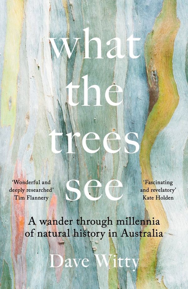 Cover Art for 9781922633842, What the Trees See by Dave Witty