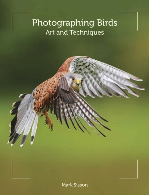 Cover Art for 9781847977137, Photographing Birds by Mark Sisson