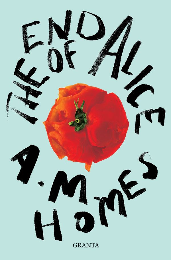 Cover Art for 9781783787166, END OF ALICE. by A.M. Homes