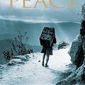 Cover Art for 9781848870840, Peace by Richard Bausch