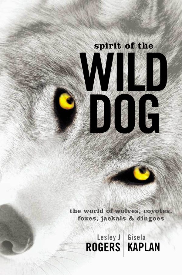 Cover Art for 9781865086736, Spirit of the Wild Dog by Lesley J. Rogers and Gisela Kaplan