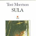 Cover Art for 9789755105505, Sula by Toni Morrison