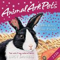 Cover Art for 9781844568017, Rabbit Race: WITH Pony Parade v. 3 by Lucy Daniels