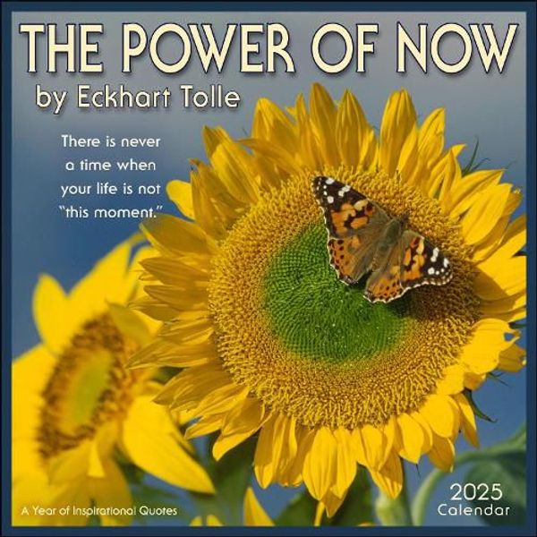 Cover Art for 9781524891138, The Power of Now 2025 Wall Calendar: A Year of Inspirational Quotes by Tolle, Eckhart, Amber Lotus Publishing