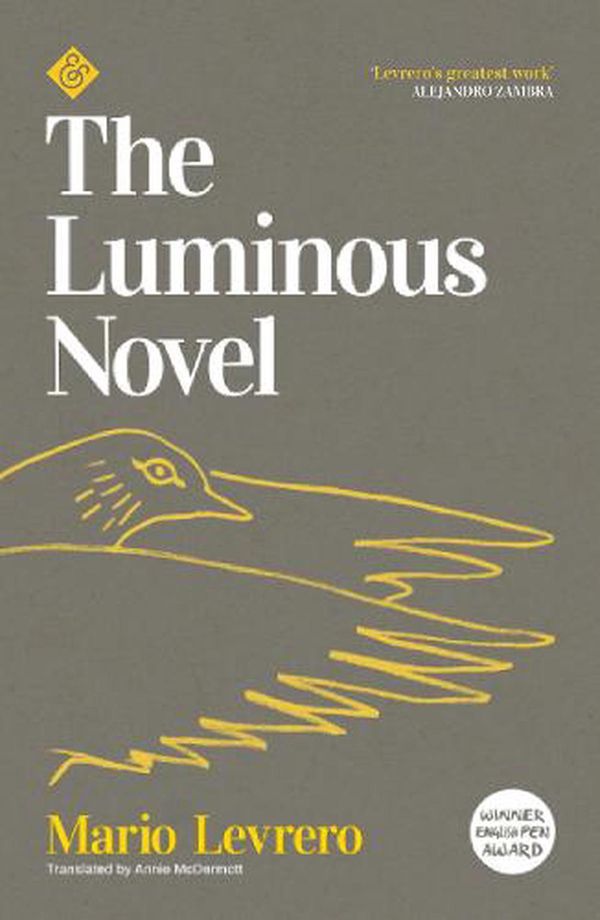 Cover Art for 9781913505011, The Luminous Novel by Mario Levrero