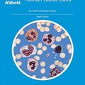 Cover Art for 9781090346018, Morphology of Human Blood Cells by Ann Bell