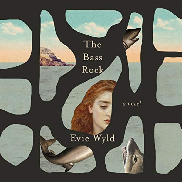 Cover Art for B087NGMXMF, The Bass Rock: A Novel by Evie Wyld
