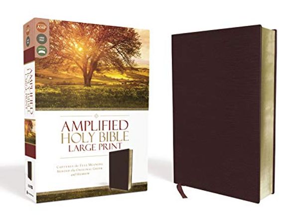 Cover Art for 0025986444051, Amplified Holy Bible, Large Print: Captures the Full Meaning Behind the Original Greek and Hebrew [Burgundy] by Zondervan