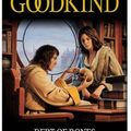 Cover Art for 9780575081161, Debt of Bones by Terry Goodkind