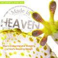 Cover Art for 9780890516690, Made in Heaven by Ray Comfort, Jeffrey Seto