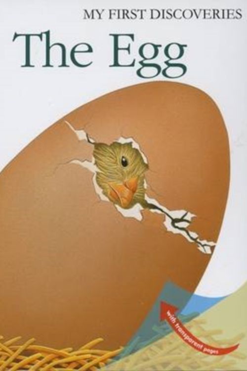 Cover Art for 9781851033805, The Egg by Rene Mettler