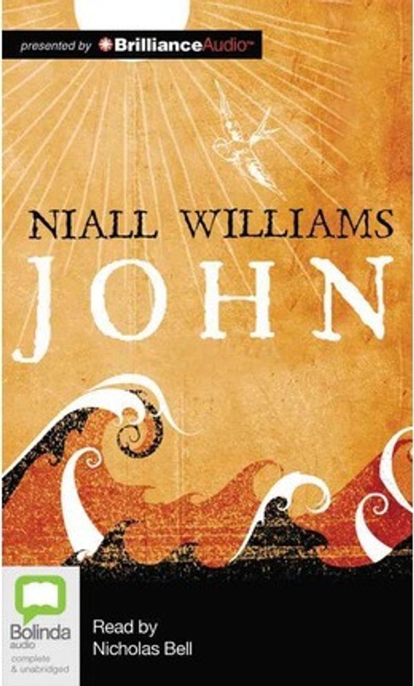 Cover Art for 9781743183991, John by Niall Williams
