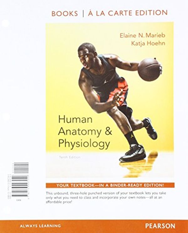 Cover Art for 9780134191294, Human Anatomy & Physiology, Books a la Carte Edition and Modified Masteringa &p with Pearson Etext & Valuepack Access Card by Marieb, Elaine N, Hoehn, Katja N