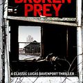 Cover Art for B07JFFSWWY, Broken Prey: Lucas Davenport 16 (Lucas Davenport Mysteries) by John Sandford