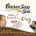 Cover Art for 9781441896759, Chicken Soup for the Soul by Jack Canfield, Joyce Bean and Phil Gigante