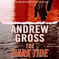 Cover Art for 9780061557651, The Dark Tide by Andrew Gross