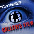 Cover Art for B002KAEMHU, Gallows View by Peter Robinson