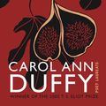Cover Art for 9780865478862, Rapture by Carol Ann Duffy