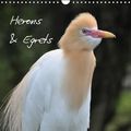 Cover Art for 9781325240678, Herons & Egrets 2018: A cosmopolitan bird family (Calvendo Animals) by Katharina Kreissig