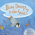 Cover Art for 9780794523114, How Deep Is the Sea? by Anna Milbourne