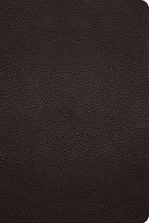 Cover Art for 9781433575921, ESV STUDY BIBLE BUFFALO LEATHER by Not Available