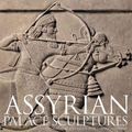 Cover Art for 9780292721692, Assyrian Palace Sculptures by Paul Collins