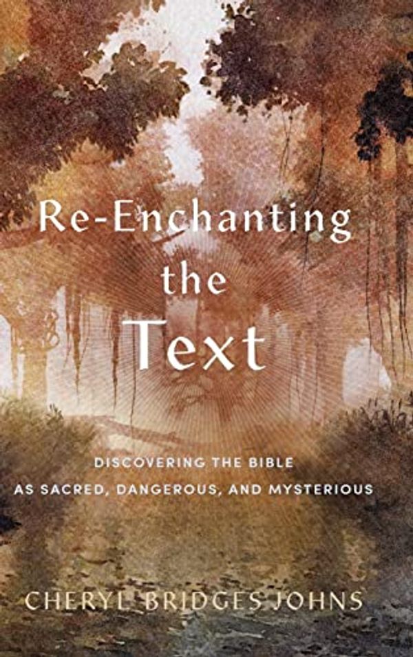 Cover Art for 9781540965615, Re-Enchanting the Text: Discovering the Bible as Sacred, Dangerous, and Mysterious by Johns, Cheryl Bridges