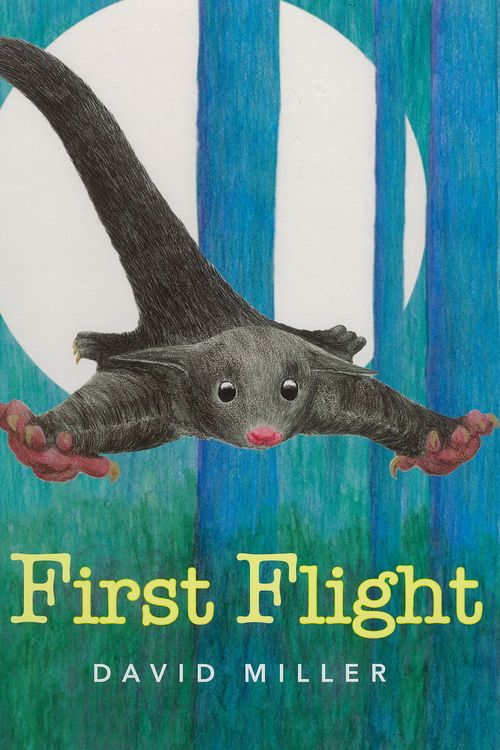 Cover Art for 9781921504570, First Flight by D Miller