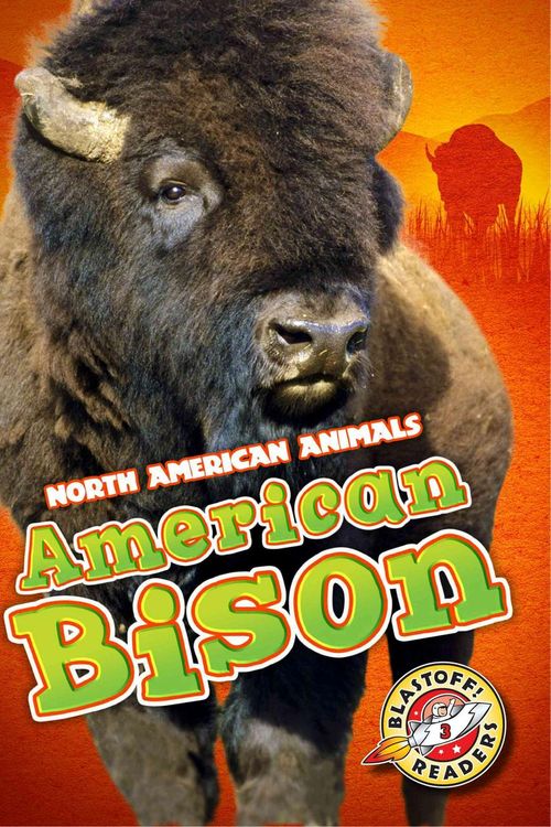 Cover Art for 9781626171848, American Bison by Chris Bowman