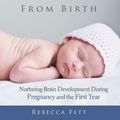 Cover Art for 9780999676134, Brain Health from Birth: Nurturing Brain Development During Pregnancy and the First Year by Rebecca Fett