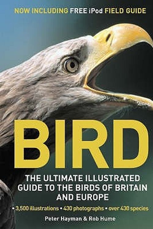 Cover Art for 9781845333386, Bird by Rob Hume