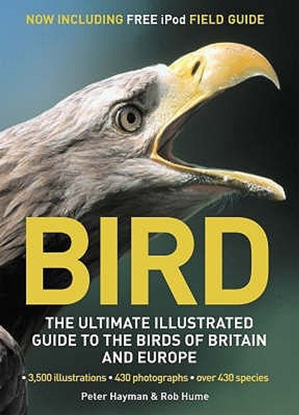 Cover Art for 9781845333386, Bird by Rob Hume