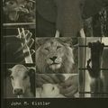 Cover Art for 9780313312311, Animal Rights by John M. Kistler