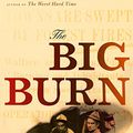 Cover Art for 9780618968411, The Big Burn: Teddy Roosevelt and the Fire that Saved America by Timothy Egan