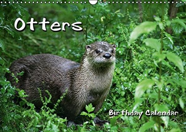 Cover Art for 9783660410631, Otters / UK-Version / Birthday Calendar (Wall Calendar perpetual DIN A3 Landscape): Skillful fish hunters (Month Calendar, 14 pages) by Martina Berg