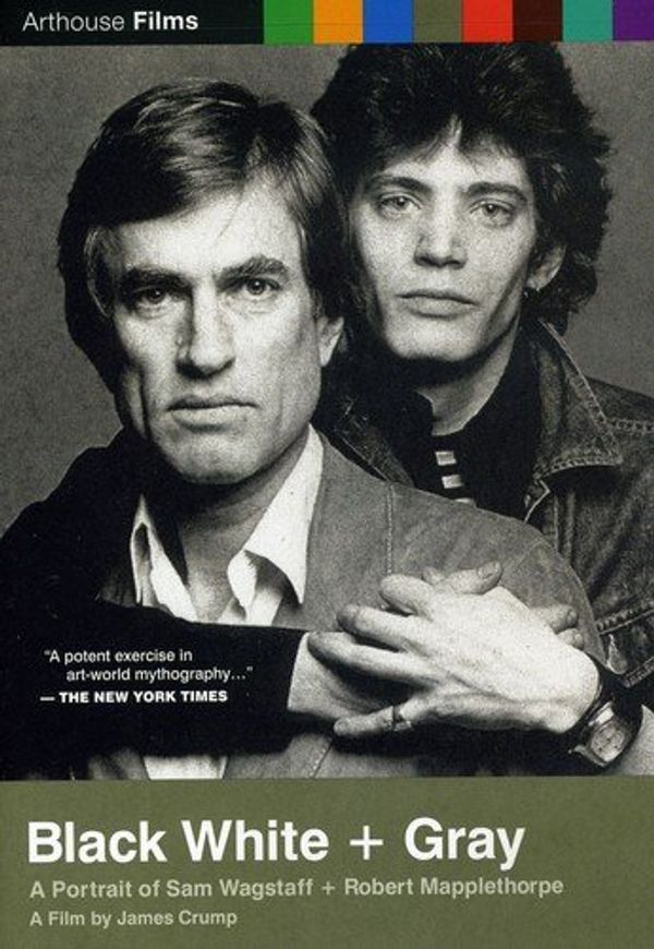 Cover Art for 0767685212837, Black White + Gray: A Portrait of Sam Wagstaff + Robert Mapplethorpe by 