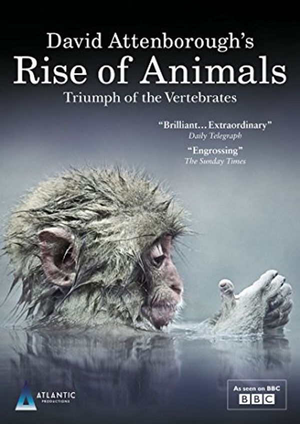Cover Art for 5055298048321, David Attenborough's Rise of Animals: Triumph of the Vertebrates ( As Seen On BBC ) [DVD] by Unknown