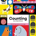 Cover Art for 9781847807069, Counting (The Learning Garden) by The Top That Team