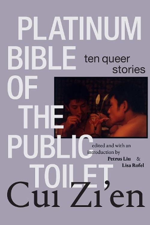 Cover Art for 9781478024880, Platinum Bible of the Public Toilet: Ten Queer Stories by Zi'en Cui