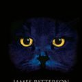 Cover Art for 9783404772124, Wenn die Mäuse Katzen jagen by James Patterson, Dietlind Kaiser