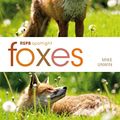 Cover Art for B00WGF41Q6, RSPB Spotlight: Foxes by Mike Unwin