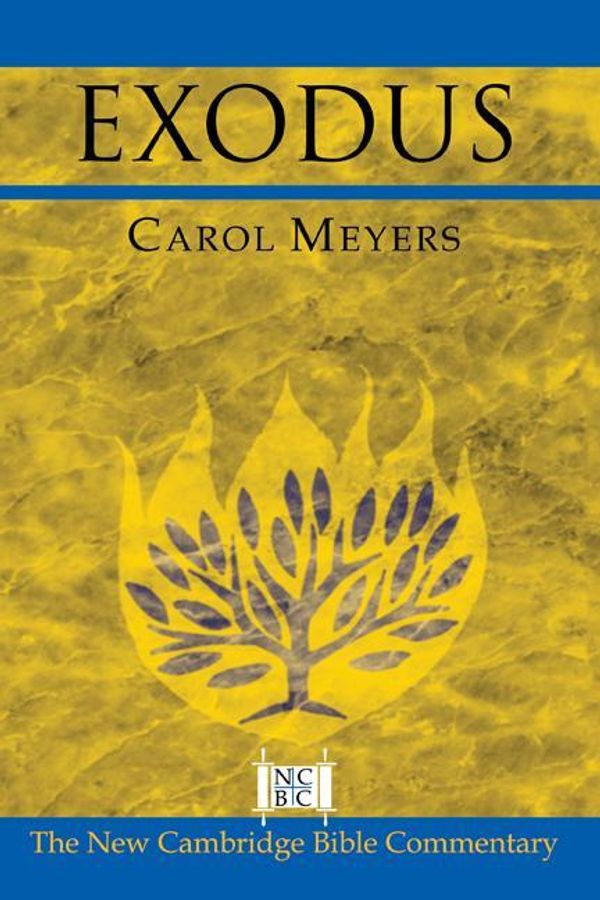 Cover Art for 9780511128172, Exodus by Carol Meyers