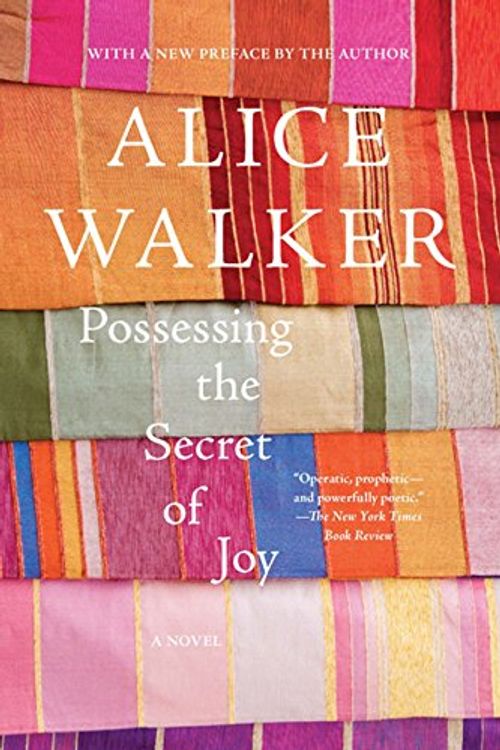 Cover Art for 9781595583642, Possessing the Secret of Joy by Alice Walker