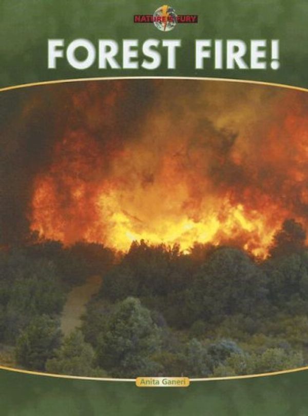 Cover Art for 9781841935638, Forest Fire! by Anita Ganeri
