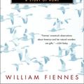 Cover Art for 9780375758577, The Snow Geese by William Fiennes