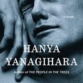 Cover Art for 9781511363815, A Little Life by Hanya Yanagihara