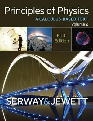 Cover Art for 9781133110286, Principles of Physics, Volume 2 by Raymond Serway, John Jewett