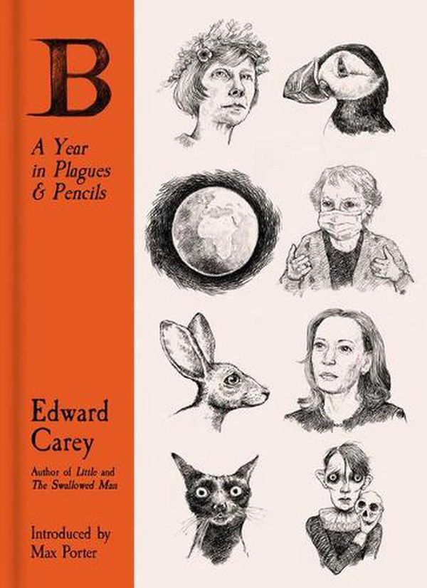 Cover Art for 9781913547202, B: A Year in Plagues and Pencils by Edward Carey