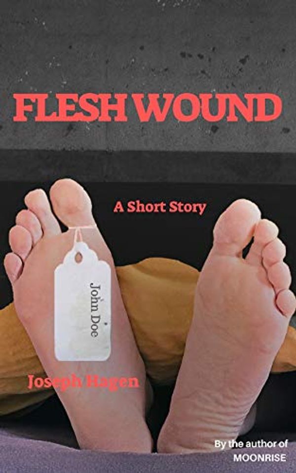 Cover Art for B07NKW658K, Flesh Wound: A short story by Joseph Hagen